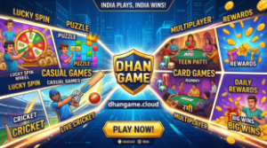 dhan game about us page