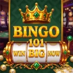 Bingo 101
