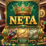 NETAVIP1